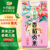 十月稻田 SHI YUE DAO TIAN 香稻贡米 东北大米 10斤 香米 粳米