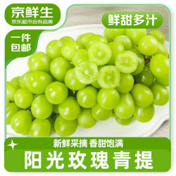 京鲜生 大号阳光玫瑰青提/葡萄 净重2.8-3.2斤装（单果8g）
