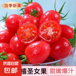 京喜 国产 新鲜圣女果小番茄 1斤 尝鲜款
