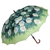 VONLILIENFELD长柄雨伞女晴雨两用大号结实抗风暴雨双人伞高级感自动一键开伞 一片式长柄伞-野玫瑰