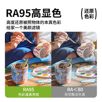 三雄极光led灯带灯条装饰贴片玄关灯带可剪裁灯带 10W暖白光 裸板【5米/卷】耀河