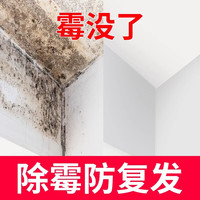 丽能墙体除霉剂白墙清除霉斑霉菌家用墙纸壁纸发霉清洁防霉去霉剂神器 2.5kg 1瓶 除霉+1瓶地板清洁送工具