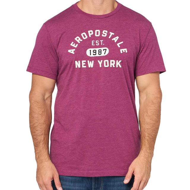移动专享、移动端：AÉROPOSTALE AEROPOSTALE 适合成人 男性 时尚T恤 拱形标志短袖T恤 圆领 短袖 经典版型 Magenta Purple Large