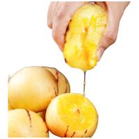 京鲜生 云南石林人参果 净重3斤 单果50g+ 生鲜水果源头直发 【中果】3斤装 单果50g+