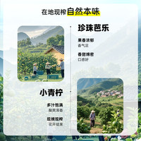 味全农榨芭乐青提小青柠复合果汁饮料冷藏组合饮料 芭乐青提*6+小青柠*6