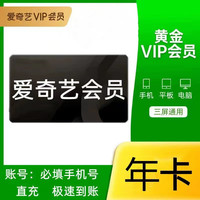 爱奇艺 视频黄金VIP会员 12个月
