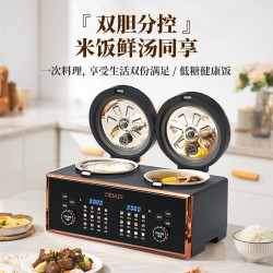 德萨帝 德国双胆电饭煲 低糖 双用全自动2L+2L不粘内胆 米汤分离 4L 微压