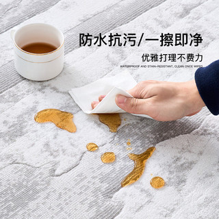 缔奢美地毯客厅防水防污无胶抗菌祛除甲醛地毯轻奢高级感免洗卧室床边毯 43192 200*290cm【防水抗菌 可除甲醛】