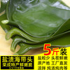 渔人百味 盐渍海带头5斤新鲜食材厚海带海白菜荣成海带片海带丝海带苗3/1斤 1500g 简装 盐渍海带头