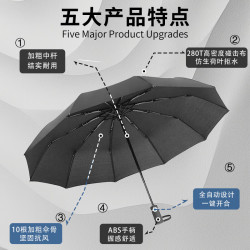 米波迪 全自动雨伞三折商务折叠伞车载雨伞超大号可 10骨-抗强风暴加厚伞布