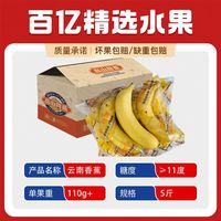 香蕉 banana 商超品质 云南天宝香蕉 5斤 彩箱 新鲜应季水果