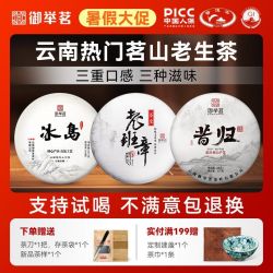 御举茗 生普洱茶 一级 100g