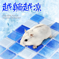 CRAZY PLANT 仓鼠冰垫凉席用品降温垫料夏天神器金丝熊宠物解暑 蓝水晶冰垫