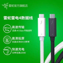 雷蛇 双Type-C 100W 数据线 尼龙编织 2.0m 黑色