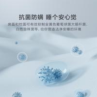 罗莱生活 LUOLAI 凉席竹纤维凉席夏天裸睡家用两用可水洗可折叠席子三件套