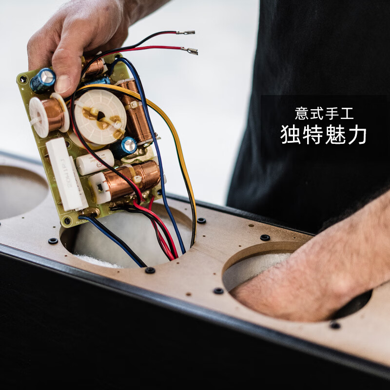 【传统功放】卢米娜5号搭配傲立9000A