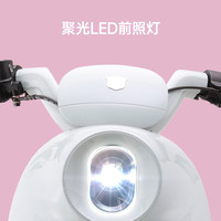  LUYUAN/绿源 电动自行车  颜色到店自选 锂电池 30AH 48V