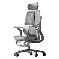 国家补贴：爱果乐 人体工学椅电脑椅办公椅人工力学座椅宿舍学习电竞椅子可躺 Pro5区撑腰 4D扶手灰