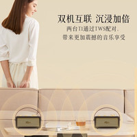 费隐 T1 高音质 蓝牙音响 黑金色