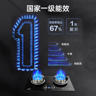 SAST天然气燃气灶具家用嵌入式液化气灶双灶台煤气灶