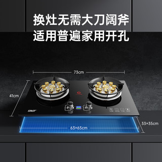 SAST天然气燃气灶具家用嵌入式液化气灶双灶台煤气灶