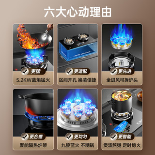 SAST天然气燃气灶具家用嵌入式液化气灶双灶台煤气灶