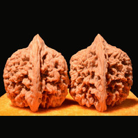 彩荷 文玩核桃麻核桃狮子头四座楼官帽白狮子把玩核桃手把件送男士 满天星(约41-42mm)