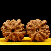 彩荷 文玩核桃麻核桃狮子头四座楼官帽白狮子把玩核桃手把件送男士 苹果园狮子头(约39-40mm)