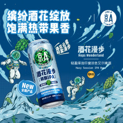 JING-A 精酿啤酒 IPA啤酒 印度淡色艾尔啤酒 酒花漫步500ml*12罐七夕送礼