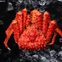 今锦上鲜活熟冻帝王蟹智利大螃蟹净重1.0-1.2kg