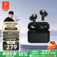 1MORE Q30 入耳式真无线动圈主动降噪蓝牙耳机 曜岩黑