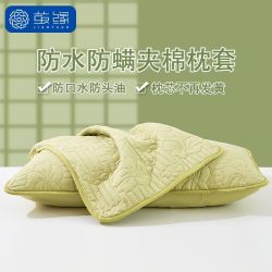 茧缘 大豆夹棉防水枕套 枕芯隔离层保护套 防口水头油汗液内胆套 枕巾