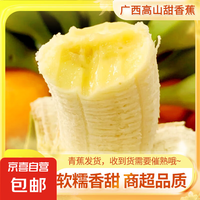 香蕉 banana 丫丫生鲜 高山精品甜蕉 2斤 青蕉