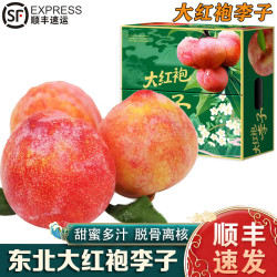 南步 东北大红袍李子 3斤 中小果【单果70-80g】