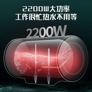 CHIGO 志高 DSZF-80LP 电热水器 80L 2000W 标配款