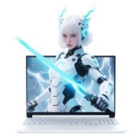 机械革命 蛟龙16Pro 潮玩版 16英寸游戏电竞笔记本电脑(R9-9955HX 32G 1T RTX5060 300Hz白)