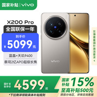 vivo X200 Pro新品5G手机 蔡司2亿APO超级长焦 蓝晶×天玑9400 钛色 12GB+256GB
