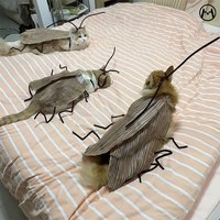 HADASSAH 蟑螂猫衣服薄款手工DIY材料包抽象搞笑可爱搞怪万圣节创意有趣感