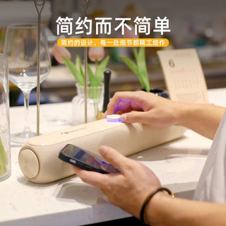  Nakamichi/中道 强劲低音炮 蓝牙音响