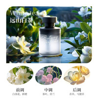 洛伊丝 DF-419-XX 空气清新剂 香薰室内持久 远山白茶 1瓶