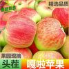 彩箱 山西嘎啦苹果 4.5斤 单果65mm+