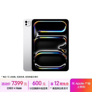 苹果 Apple iPad Pro 11 M4 256G WLAN 银色