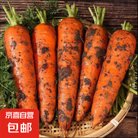 萝卜 notebike 新鲜农家自种胡萝卜 5斤 带泥 脆爽多汁