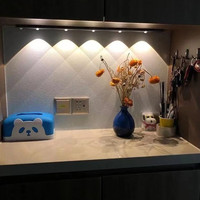 以典 【同行卖100多的品】80cm超长人体感应灯山丘猫眼灯