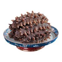 深海地带【大连产地】大连即食海参1斤20-30头 冷冻辽刺参 源头直发 即食海参500g20-30头