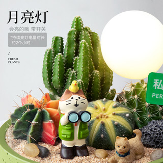 创意仙人掌盆栽精品仙人球阳台多肉肉植物客厅桌面室内好养活绿植 带盆栽好
