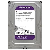 Western Digital 西部数据 紫盘系列 3.5英寸监控级硬盘 1TB 64MB(5400rpm、PMR)WD10EJRX