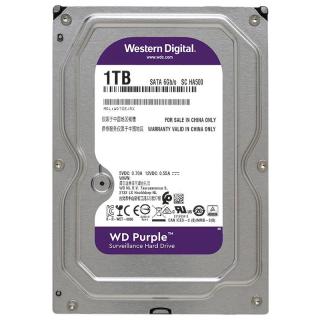 Western Digital 西部数据 紫盘系列 3.5英寸监控级硬盘 1TB 64MB(5400rpm、PMR)WD10EJRX