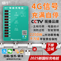 绿行 LX-10TBSMSKG 电瓶车充电桩 硬币扫码刷卡二合一