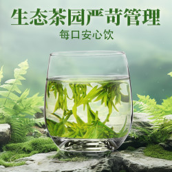 邑境 碧螺春 一级 50g 罐装